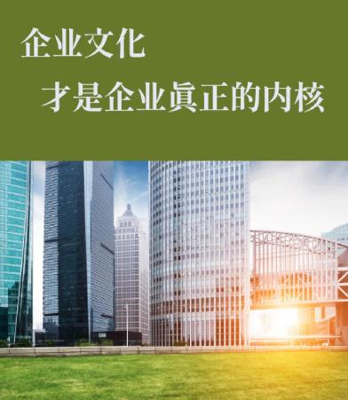 SEW剎車線圈燒毀原因排查與絕緣檢測方法